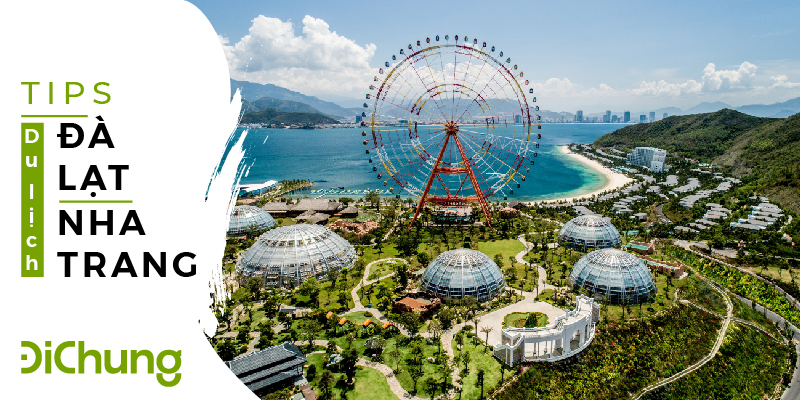 dat-xe-da-lat-nha-trang