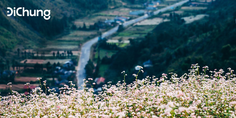 dia-diem-hoa-tam-giac-mach-ha-giang